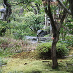 天龍寺内の庭園