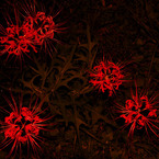 Red Steps