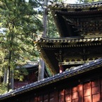 日光５
