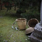 日光７