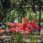 _DSC8180