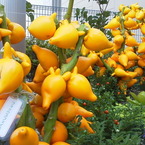 2011100813340000