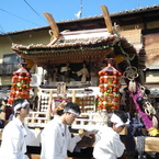 DSCN6385