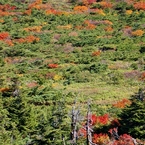 蔵王連峰の秋3