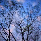 学校ってたまにいい写真が撮れるんだ