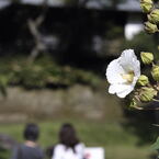 円覚寺20