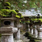 日光東照宮　苔むす灯籠