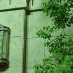 IMGP3242