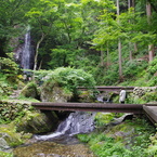 IMGP3397
