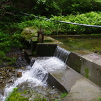 IMGP3392