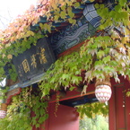 中国風の庭園