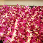 lei