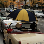 Rainy day