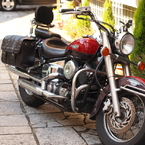 PA280294