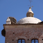 Palacio de Moctezuma
