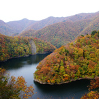三面川Ⅰ