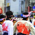 鯛を曳く若衆