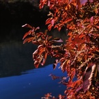 111009_4_0010