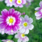 _IGP1858_edited-1