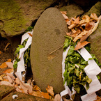 戌の日　お参り