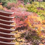 秋　～談山神社～