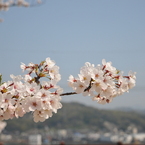 尾道～千光寺公園