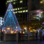 クリスマスに色づく札幌