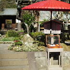 海蔵寺#5