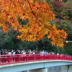 香嵐渓といえば赤い橋
