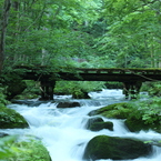 東北