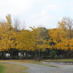 城址公園