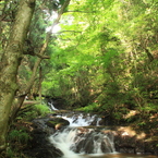 七ツ滝（五の滝）