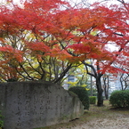 「筑紫の館」万葉歌碑