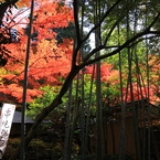 ちょっと休憩