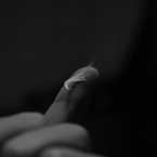 Little wing