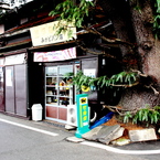 門前の店