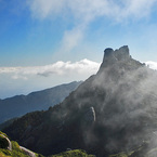 翁岳