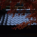 雨にぬれても