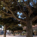 休息