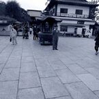 IMG_6056