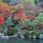 滋賀県東近江市紅葉２０１１ 014
