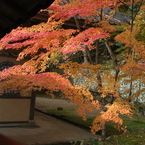滋賀県東近江市紅葉２０１１ 076