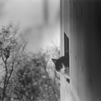 1_001