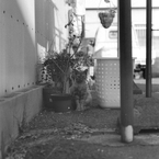 1_003