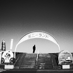 On a Bright and Sunny Day in Winter #05