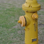 IWAKUNI①