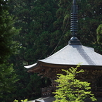 新緑と三重の塔