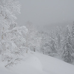 雪のくにを行く