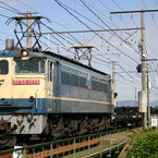 EF65-1079 貨物列車