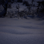 静かな雪の波